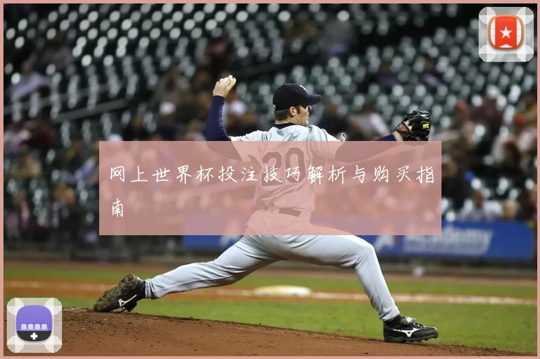 网上世界杯投注技巧解析与购买指南