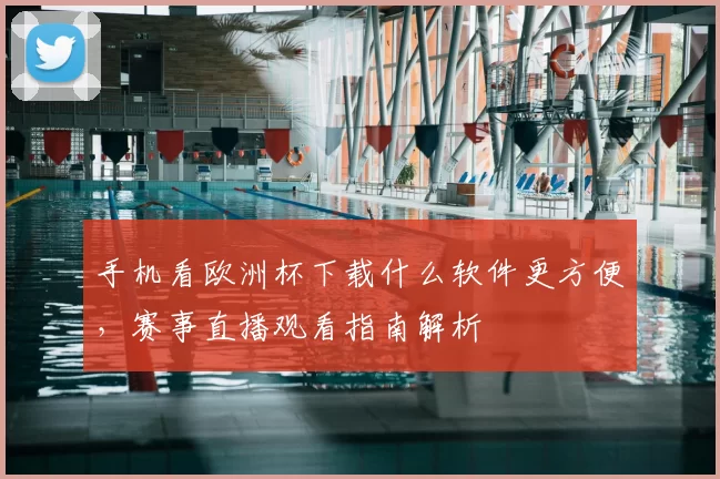 手机看欧洲杯下载什么软件更方便，赛事直播观看指南解析