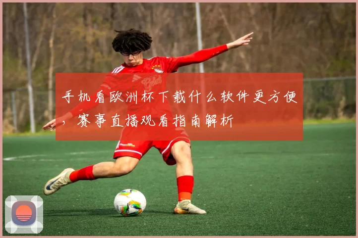 手机看欧洲杯下载什么软件更方便，赛事直播观看指南解析