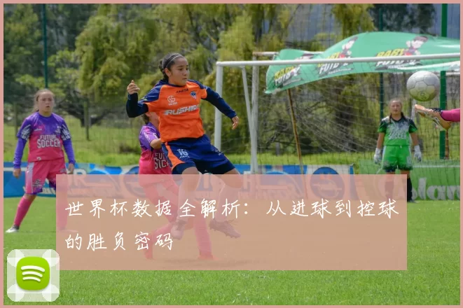 世界杯数据全解析:从进球到控球的胜负密码