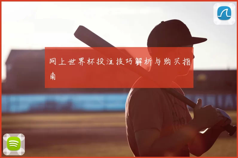 网上世界杯投注技巧解析与购买指南